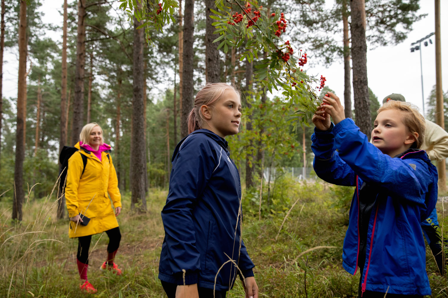 Kaksi lasta tutkimassa marjoja, taustalla kaksi aikuista.